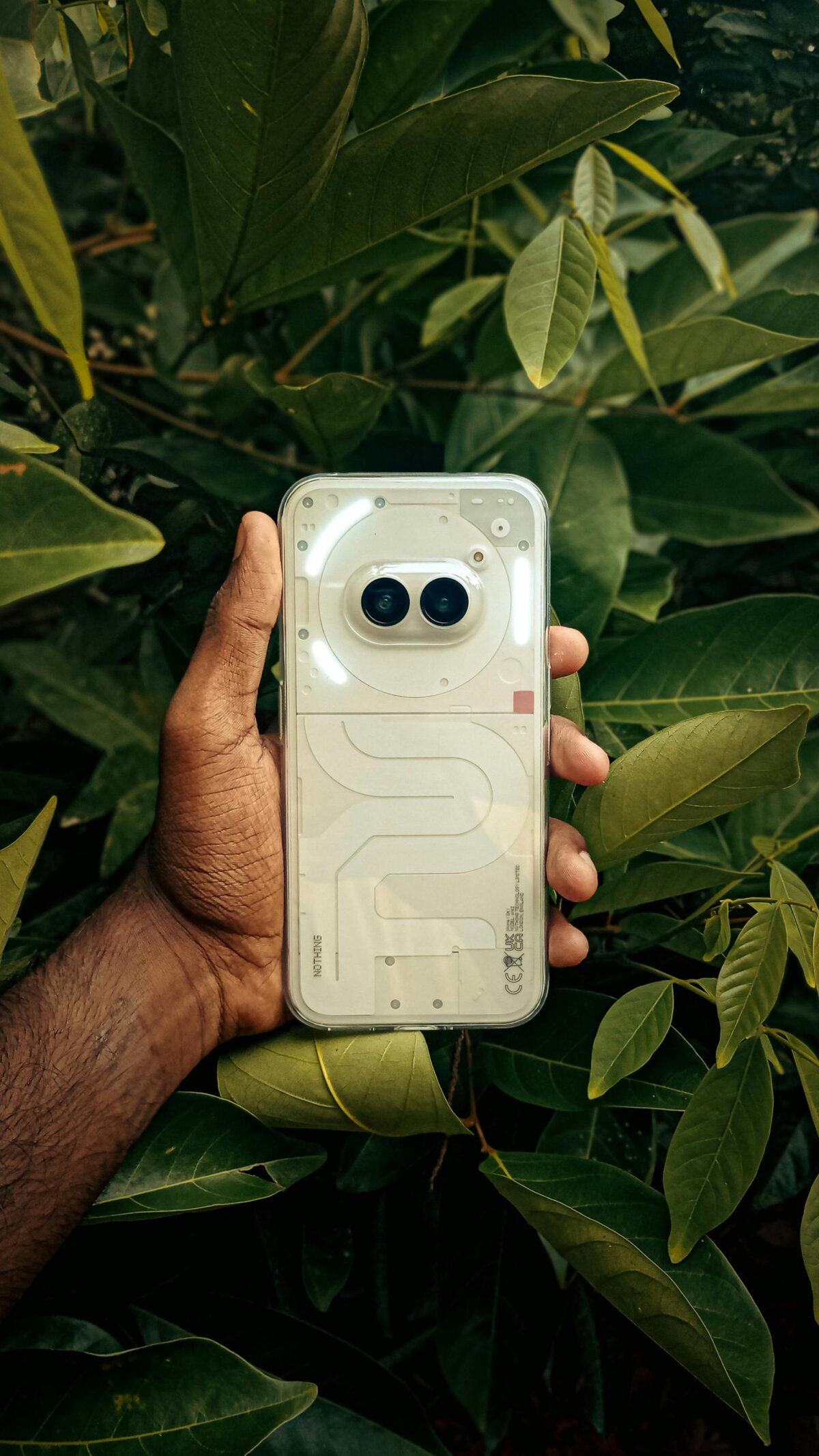 Close-up of hand with smartphone amidst lush green leaves, showcasing technology and nature contrast.